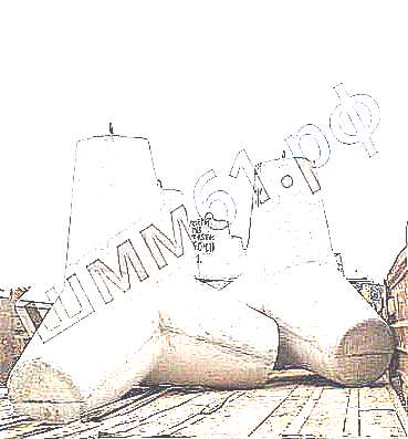 Тетрапод (рисунок 2) (фото)