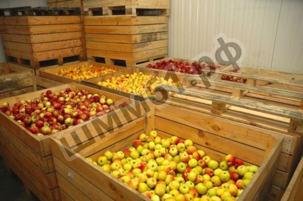 Хранилища для фруктов (фото)